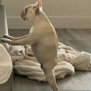 Meet your Posher, Carlos